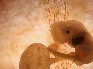 苏州做三代试管婴儿费用大概要多少钱？