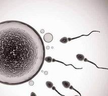 30岁年龄的夫妻做试管适合哪种较好方案？