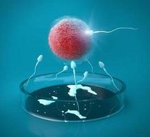 成都血友病做试管的费用大概多少，血友病患者试管助孕价格清单表一览