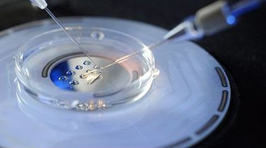 ‌衢州市人民医院试管婴儿价格公布，2024年助孕新方案