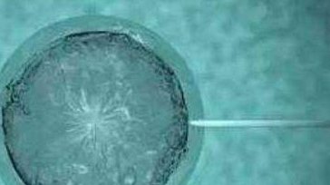 揭秘一代试管婴儿的流程步骤，检查、促排一步也别弄错